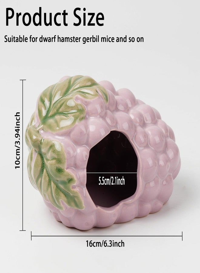 Deapeey Ceramic Hamster Hideout,Grape Dwarf Hamster House,Guinea Pig Habitat Decor, Hideaway House for Gerbil, Cool Bed for All Season - Image 3